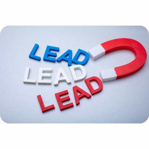 LEAD MANAGEMENT
